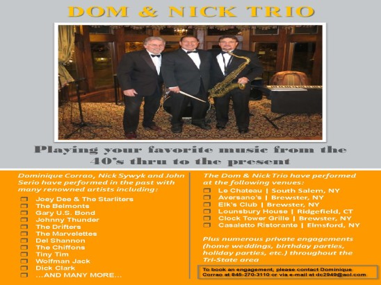 Dom and Nick Trio Band